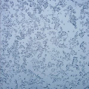 Meet your Posher, Connor